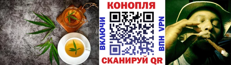 сколько стоит  Володарск  Cannafood конопля 
