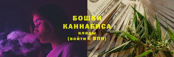 молекула духа Белокуриха