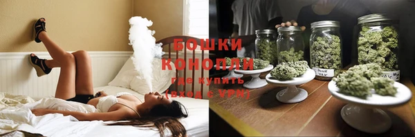 молекула духа Белокуриха
