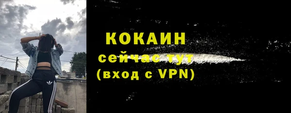молекула духа Белокуриха