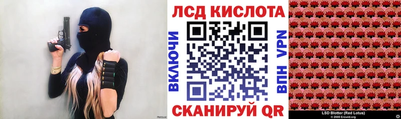 купить наркотики цена  Володарск  Наркотические марки 1500мкг 