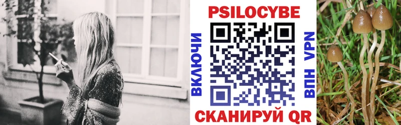 наркота  Володарск  Псилоцибиновые грибы мицелий 