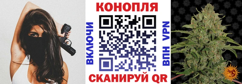 Шишки марихуана планчик  Володарск 